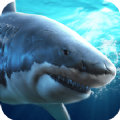 鲨鱼捕食最新版 v1.7.1